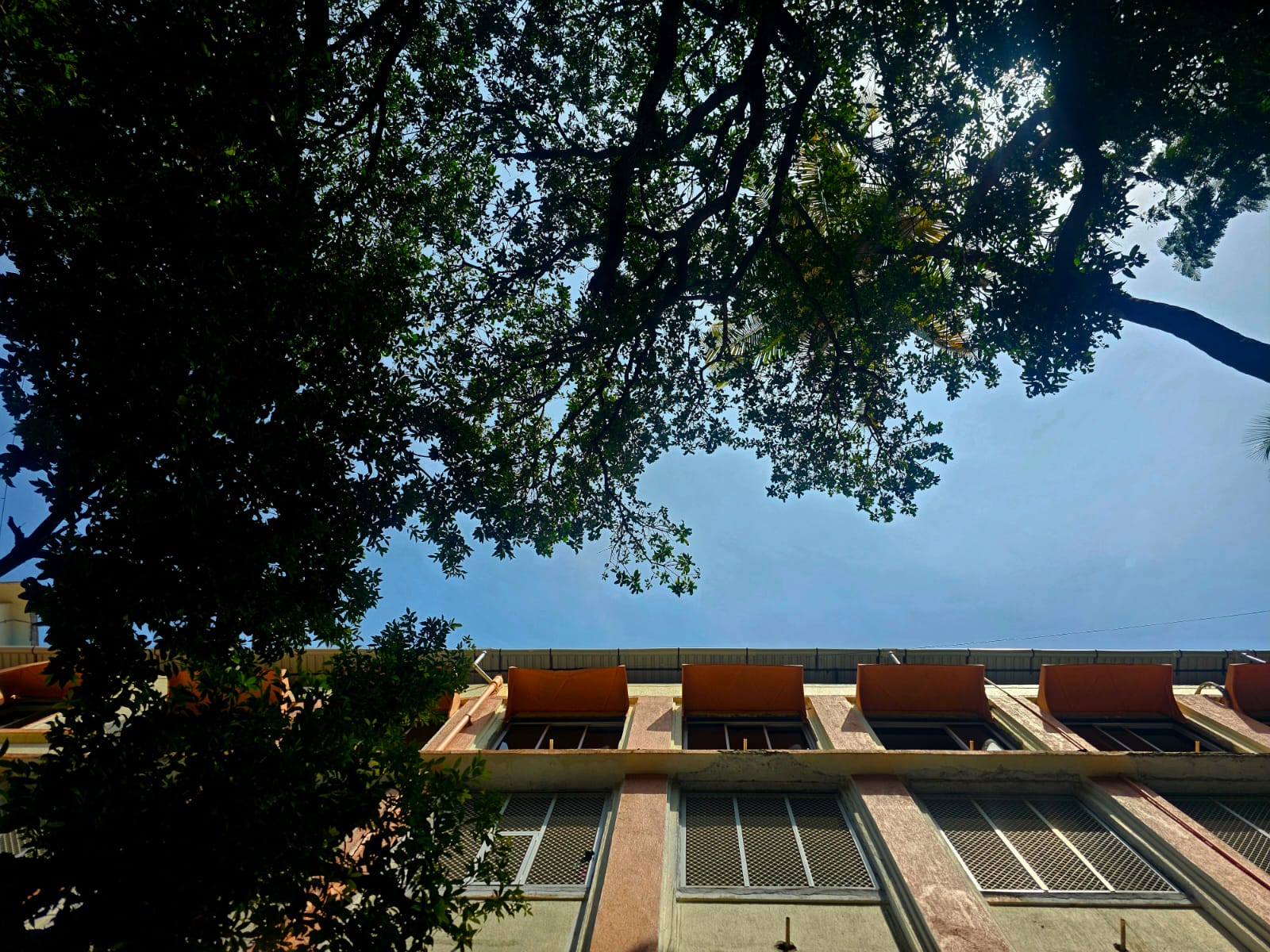 Rotaract Club of Sydenham College